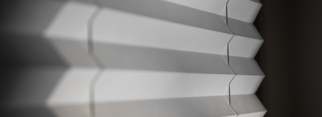 Blackout pleated blinds