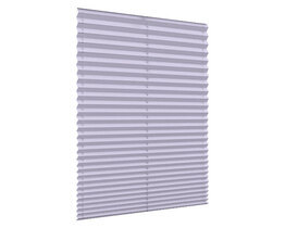 Pleated blinds