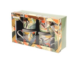 Set skodelic Nubia 4 kosi