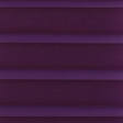 CO 104 Purple SALE