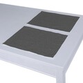 Set of 2 Placemats